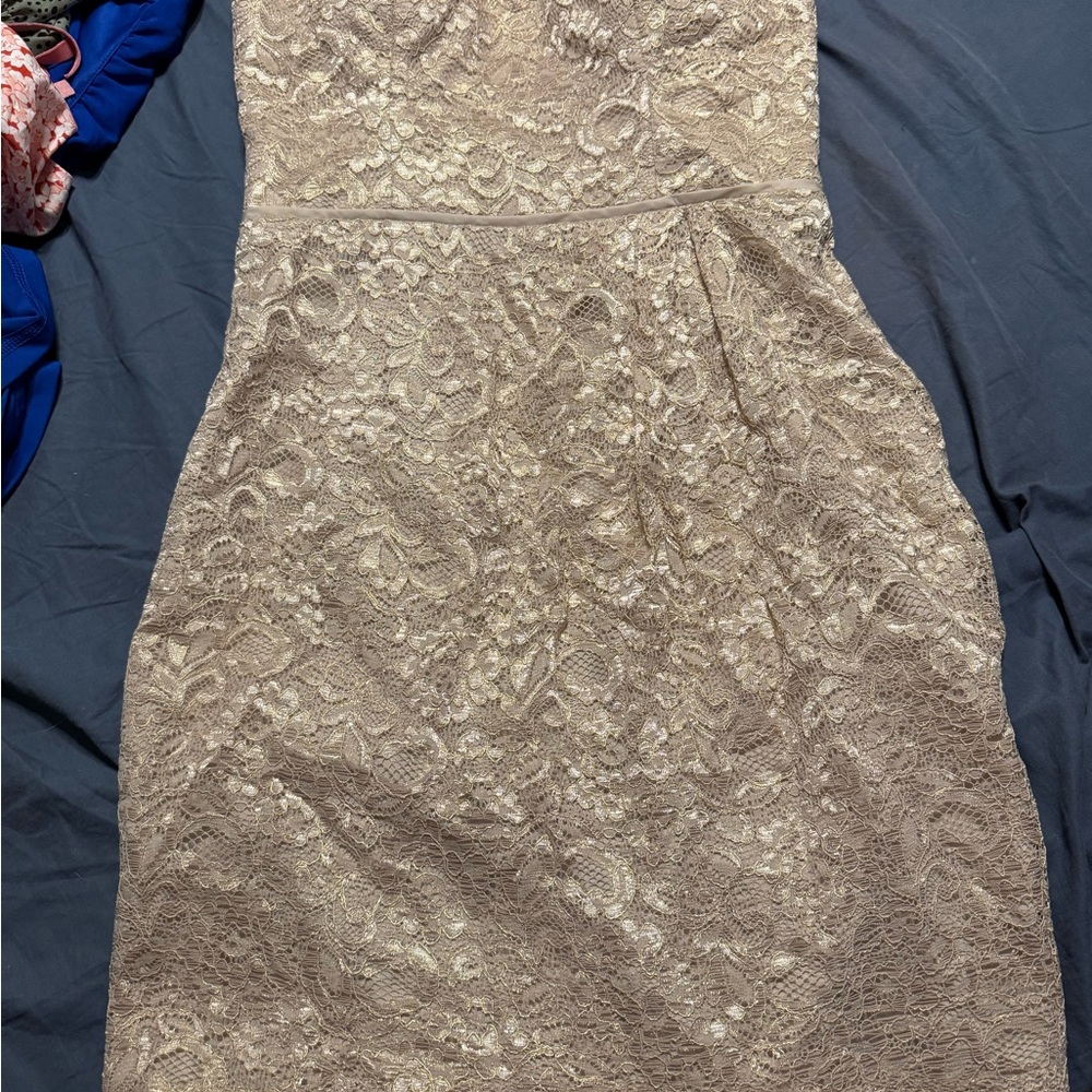 Elegant Lace Cream Dress